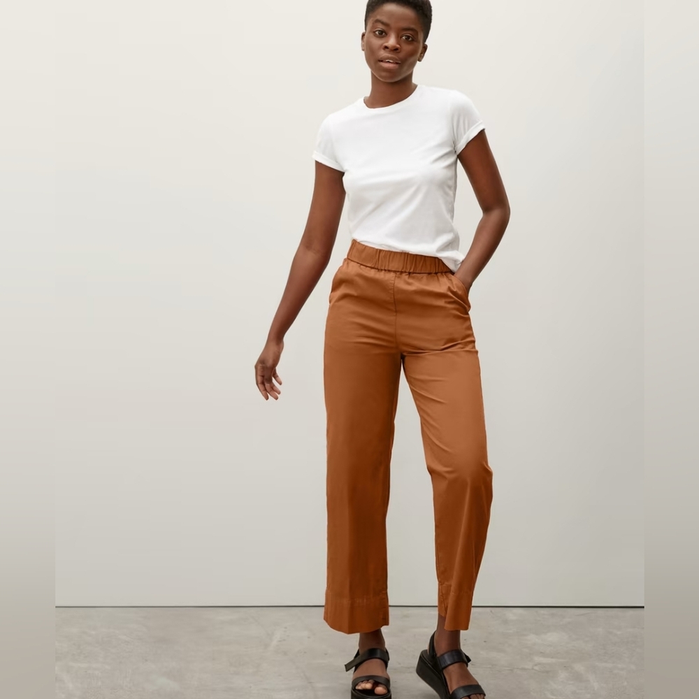 Everlane The Easy Pants Wide Leg Chinos In Dark Honey 🍯